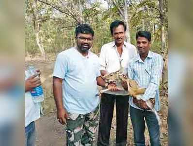 ನಾಯಿಗಳಿಂದ ಜಿಂಕೆ ಮರಿ ರಕ್ಷಣೆ