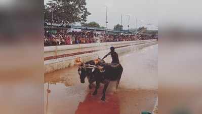 ಕಂಬಳ ಮನುಷ್ಯ-ಪ್ರಾಣಿ ಸಂಬಂಧದ ಸಂಕೇತ