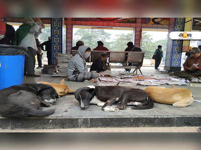 পেটির প্রভাবে মেঘলা আকাশ, বিক্ষিপ্ত বৃষ্টি এ রাজ্যেও