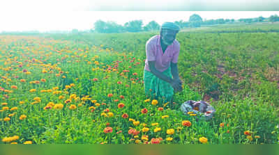 ಕಷ್ಟ ಮರೆಸಿದ ಹೂವು