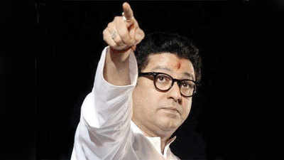 raj thackeray : परप्रांतीयांविरोधातील आंदोलन; राज ठाकरे यांना जामीन