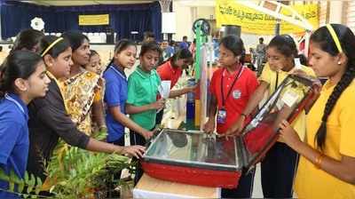 ಜೈವಿಕ ಇಂಧನ ತಯಾರಿಕೆಗೆ ಪೂರಕವಾದ ಗಿಡ ಬೆಳೆಸಿ