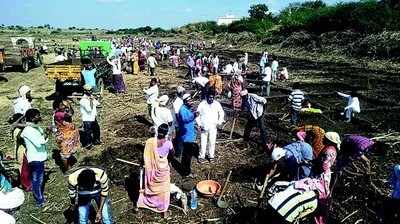 ಹರಸೂರಿನಲ್ಲಿ ನಿತ್ಯ 600 ಜನರಿಗೆ ಖಾತರಿ ಉದ್ಯೋಗ