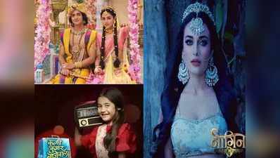 2018 के अंत में इन 5 टीवी शोज ने मारी बाजी, नागिन 3 टॉप पर