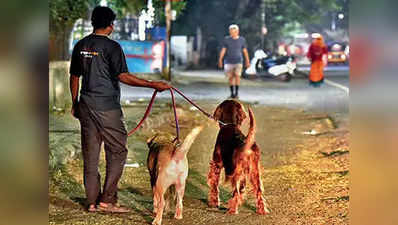 खुले में शौच कराने पर कुत्ता मालिकों पर जुर्माना