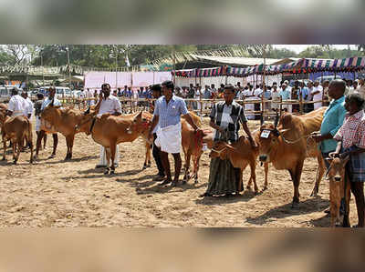 சுய லாபத்துக்காக மாட்டுச் சந்தை மாற்றம்: பொள்ளாச்சி ஜெயராமனுக்கு எதிர்ப்பு