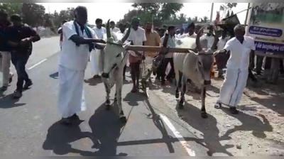 10வது நாள் தொடர் காத்திருப்பு போராட்டம்; தார் சாலையில் ஏர் பூட்டிய விவசாயிகள்!