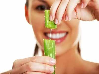 Aloe vera benefits: तेजी से बाल बढ़ाने में असरदार है एलोवेरा, होते हैं ढेरों फायदे