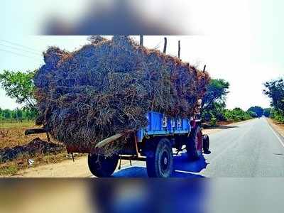 ಹತ್ತು ಸಾವಿರ ರೂಪಾಯಿ ದಾಟಿದ ಟ್ರ್ಯಾಕ್ಟರ್‌ ಲೋಡ್‌ ಮೇವು..!