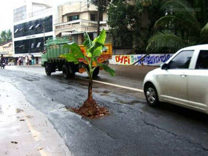 यहां सड़कों पर कुछ भी पाया जा सकता है