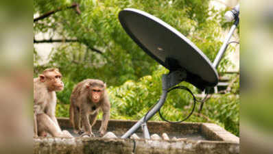 केबल टीवी नेटवर्क के जरिये गांवों में मिल सकती है इंटरनेट सेवा