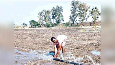 लाखोंचे पॅकेज नाकारून पावले वळली शेतीकडे