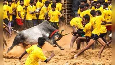 கிருஷ்ணகிரி எருது விடும் விழா ஆய்வுகூட்டம்; நேரம் நீட்டிக்க விழா குழு கோரிக்கை!