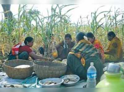 ಭೂತಾಯಿ ಆರಾಧನೆಯ ಎಳ್ಳು ಅಮವಾಸ್ಯೆ