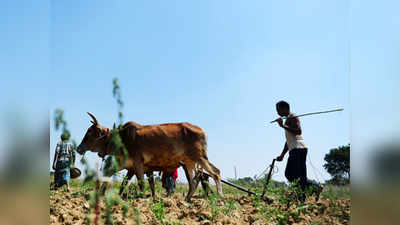 सरकार देणार शेतकऱ्यांच्या खात्यात १० हजार रुपये?