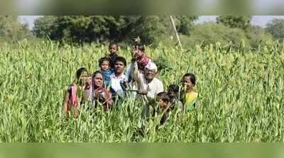 ಜಿಲ್ಲೆಯಾದ್ಯಂತ  ಸಂಭ್ರಮದ ಎಳ್ಳ ಅಮಾವಾಸ್ಯೆ ಆಚರಣೆ