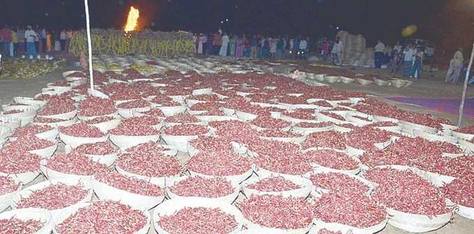  ಹೋಮಕ್ಕೆ 1008 ಕೆಜಿ (10 ಕ್ವಿಂಟಾಲ್) ಒಣ ಮೆಣಸಿನಕಾಯಿ ಬಳಕೆ