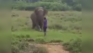 सम्मोहित करने की कोशिश कर रहा था, हाथी ने कुचलकर ली जान