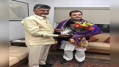 ఢిల్లీ: రాహుల్‌తో చంద్రబాబు భేటీ 