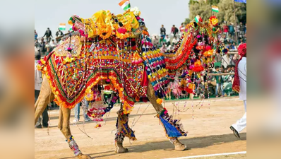 बीकानेर का camel festival जहां देखने को मिलता है ऊंट नृत्य