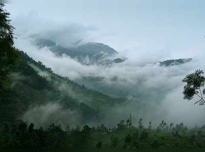 മഞ്ഞ് പുതച്ച മൂന്നാറിലേക്ക് വണ്‍ഡേ ട്രിപ്പുമായി ഡിടിപിസി