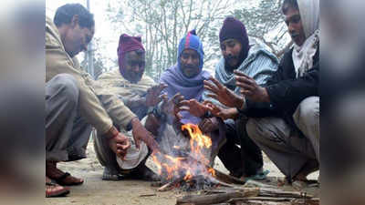 थंडीची लाट अद्यापही कायम