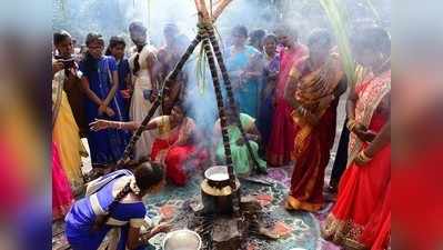 ಸೊಬಗಿನ ಸುಗ್ಗಿಹಬ್ಬ ಸಂಕ್ರಾಂತಿ