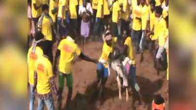 Jallikattu 2019: தச்சன்குறிச்சியில் களைகட்டிய ஜல்லிக்கட்டு போட்டி!