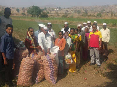 कांदा घ्या, गोड बोला...संगमनेरच्या शेतकऱ्याची अशीही संक्रांत