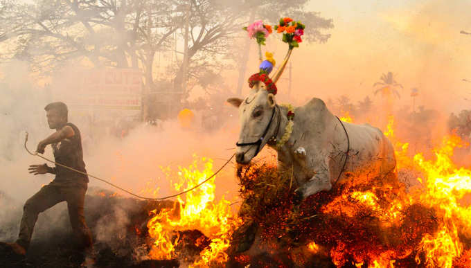 ​ಜನರು ಎಳ್ಳು-ಬೆಲ್ಲದ ಮಿಶ್ರಣ ಮಾಡಿ ಮನೆಮನೆಗೆ ಹಂಚುತ್ತಾರೆ.