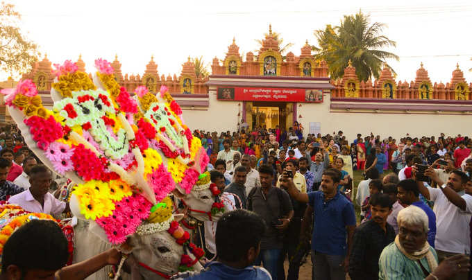 ​ಸಂಕ್ರಾಂತಿ ಸಂದರ್ಭದಲ್ಲಿ ಗಾಳಿಪಟ ಹಾರಿಸುವುದೂ ಇದೆ.