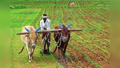 2019 Budget for Farmers: బడ్జెట్‌లో రైతులకు అగ్రతాంబూలం?