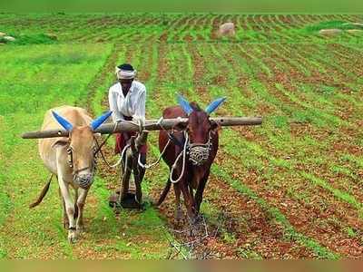 2019 Budget for Farmers: బడ్జెట్‌లో రైతులకు అగ్రతాంబూలం?