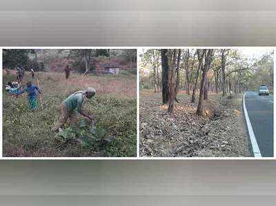 நீலகிரி, முதுமலையில் பனிப்பொழிவு: வன உயிர்களுக்கு தீவனத் தட்டுப்பாடு