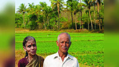 ಮಲೆನಾಡು ಕೃಷಿಯ ಸಾಕ್ಷಿಪ್ರಜ್ಞೆ