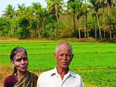 ಮಲೆನಾಡು ಕೃಷಿಯ ಸಾಕ್ಷಿಪ್ರಜ್ಞೆ