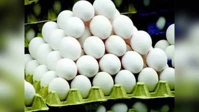 अंडे की मांग को पूरा करने के लिए पीली क्रांति की तैयारी में महाराष्ट्र सरकार