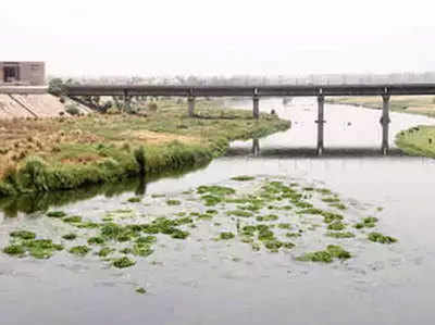 NGT ने पूछा, करोड़ों बहाने के बाद भी गोमती गंदी क्यों?