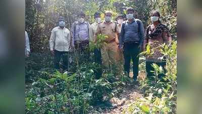 ಉಡುಪಿ ಜಿಲ್ಲೆಯಲ್ಲಿ ಮೃತ ಮಂಗಗಳ ಸಂಖ್ಯೆ 70 ಕ್ಕೆ ಏರಿಕೆ