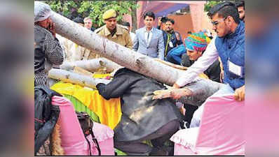 जयपुर लिटरेचर फेस्टिवल में लंच कर रहे लोगों पर गिरा पेड़, 4 घायल