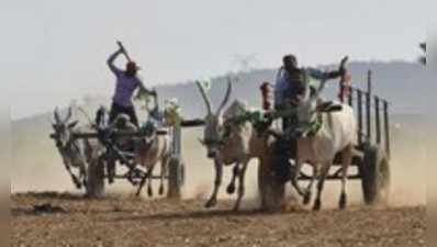 ರೋಮಾಂಚನಗೊಳಿಸಿದ ಎತ್ತಿನ ಗಾಡಿ ಓಟದ ಸ್ಪರ್ಧೆ