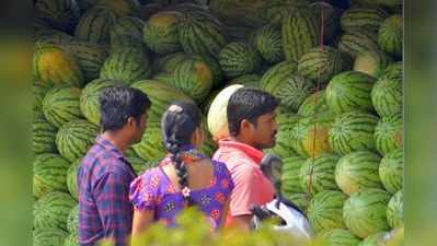 ಬೇಸಿಗೆಗೆ ಮುನ್ನವೇ ಬಂತು ಕಲ್ಲಂಗಡಿ