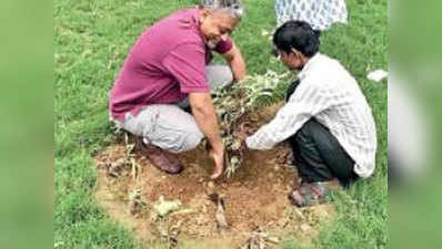 इंद्रपुरी में पहले यहां उड़ती थी धूल, लोगों ने खिलाए फूल