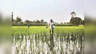 2019 Budget for Farmers: రైతులకు కేంద్రం వరాలు! నేడే ప్రకటన?