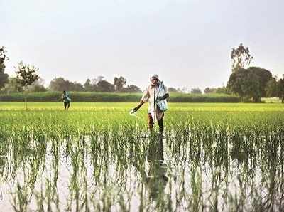 2019 Budget for Farmers: రైతులకు కేంద్రం వరాలు! నేడే ప్రకటన?