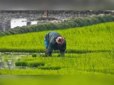 Farmers Budget 2019: பட்ஜெட்டில் விவசாயிகளுக்கு என்ன கிடைக்கப்போகிறது?