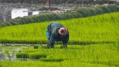 Farmers Budget 2019: பட்ஜெட்டில் விவசாயிகளுக்கு என்ன கிடைக்கப்போகிறது?