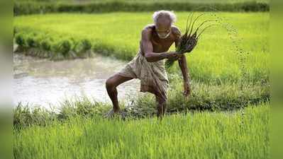 2019 Budget for Farmers: பட்ஜெட் 2019 மூலம் விவசாயிகளுக்கு என்ன பலன்?