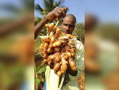 ಉತ್ಕೃಷ್ಟ ಬೆಳೆಗೆ ಉತ್ತಮ ಬೀಜವೇ ಮೂಲ