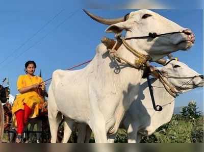 சுற்றுலா சென்ற காயத்ரி ரகுராம்